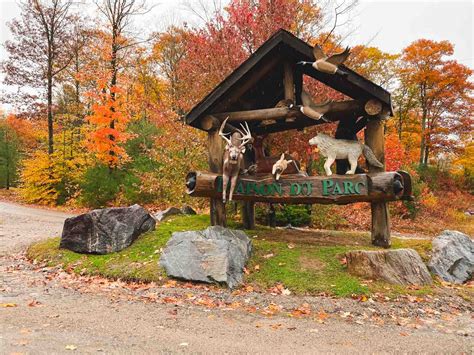 parc omega cheap tickets|parc omega admission fee.